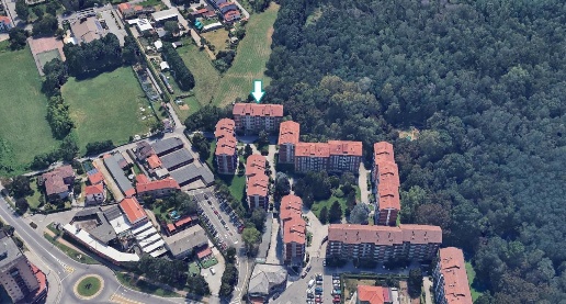 immagine annuncio 1 di 2