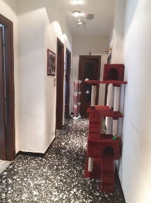 Foto Appartamento in Via Della Fontana, Asti Corso Dante di 75 m²