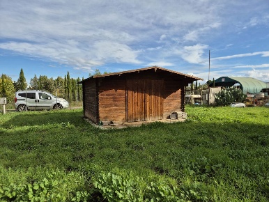 Foto Terreno agricolo in Via rugginosa snc, Grosseto Braccagni di 1500 m²