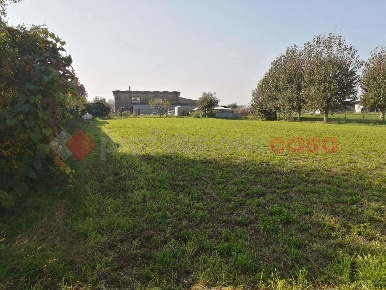 Foto Terreno residenziale in Via Magrine 10, Cerea Centro di 1800 m²