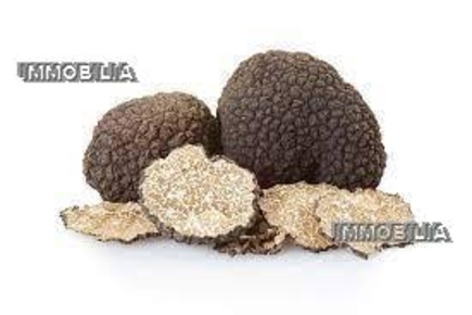 Foto Terreno edificabile in -, Citerna di 3000 m² in vendita