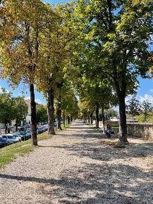 Foto Villa singola in viale luzzati, Treviso Viale Luzzatti di 220 m²
