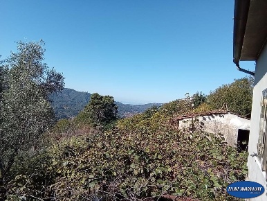 Foto Rustico a Camaiore Camaiore Paese di 120 m² con 6 locali in vendita