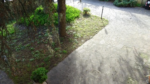 Foto Villa bifamiliare a Cascina Navacchio Nord - Zambra di 120 m²