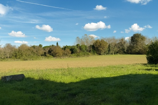 immagine annuncio 4 di 14