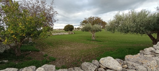 Foto Casale a Ragusa di 120 m² con 4 locali in vendita