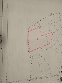 Foto Terreno agricolo a Lucignano di 2700 m² in vendita