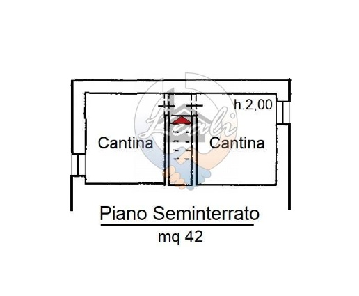immagine annuncio 9 di 12