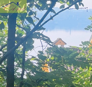 Foto Terreno residenziale in SP639, Pusiano di 800 m² in vendita