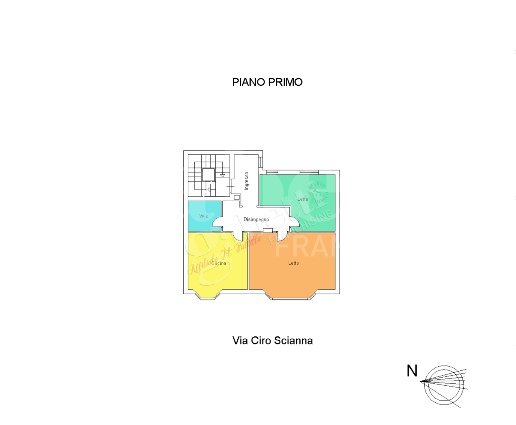 immagine annuncio 10 di 11