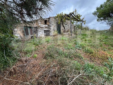 Foto Rustico in Via Case Sparse snc, Liberi Centro di 100 m² con 3 locali