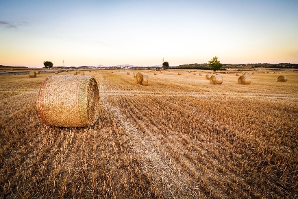 Foto Terreno commerciale in via di Baroncoli 100, Calenzano di 7820 m²