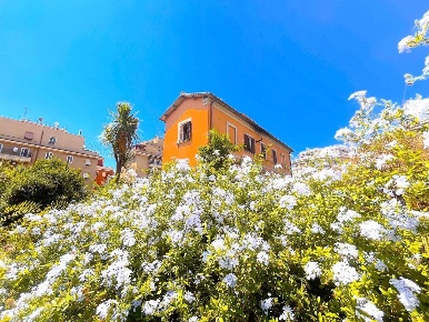 Foto Casa indipendente a Roma di 174 m² con 6 locali in vendita