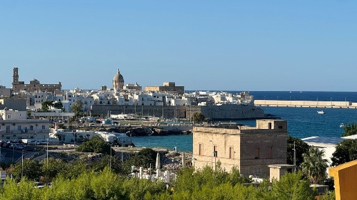 immagine annuncio 3 di 9