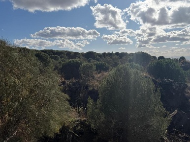 Foto Terreno agricolo a Nicolosi in vendita