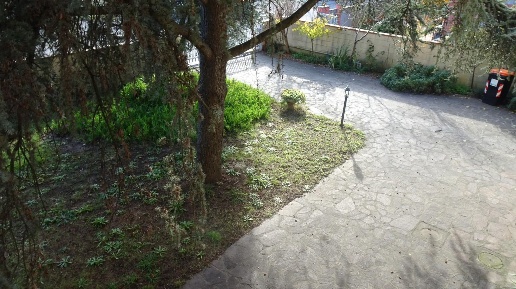 Foto Villa unifamiliare a Cascina Navacchio Nord - Zambra di 300 m²