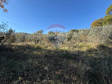 Foto Terreno agricolo in Via Delle Carceri, Bevagna di 3245 m² in vendita
