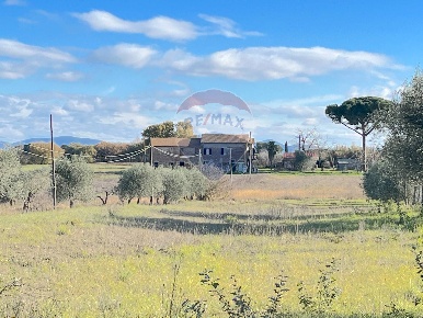 Foto Rustico a Castiglione del Lago Piana di 250 m² con 4 locali in vendita