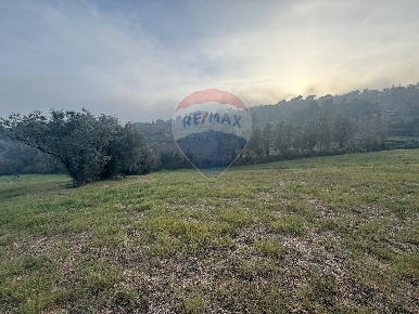 Foto Terreno agricolo in STRADA FERRINI, Perugia Montebello di 8115 m²