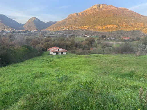 immagine annuncio 5 di 12