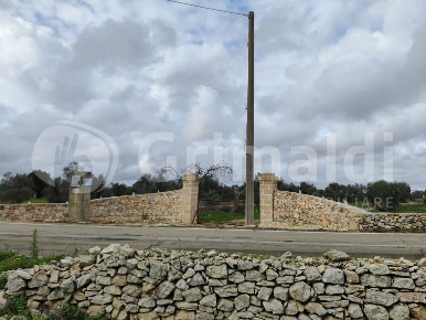 Foto Terreno agricolo in Contrada Portolano snc, Sannicola Centro