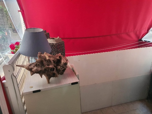 immagine annuncio 2 di 14