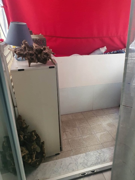 immagine annuncio 3 di 14