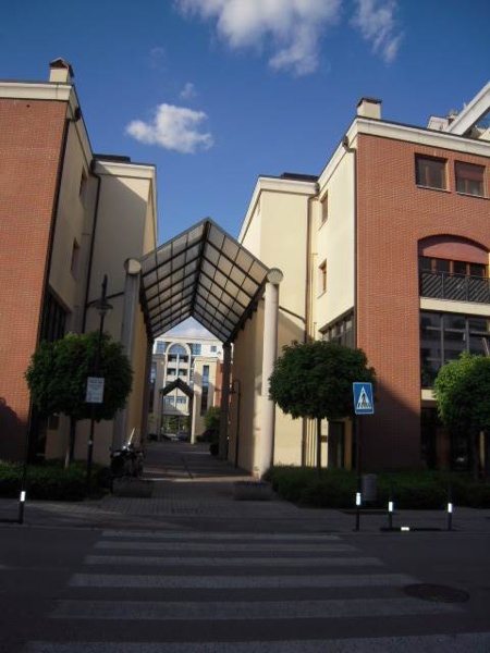 immagine annuncio 12 di 15