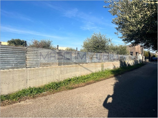 immagine annuncio 9 di 14