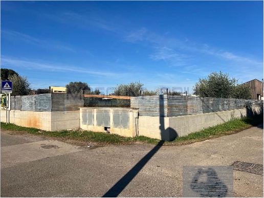 immagine annuncio 13 di 14