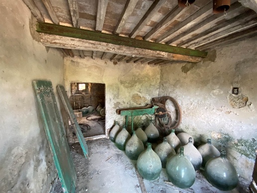 immagine annuncio 8 di 15