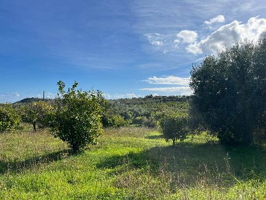 Foto Villa unifamiliare in C.da Gioi, Noto di 110 m² con 6 locali