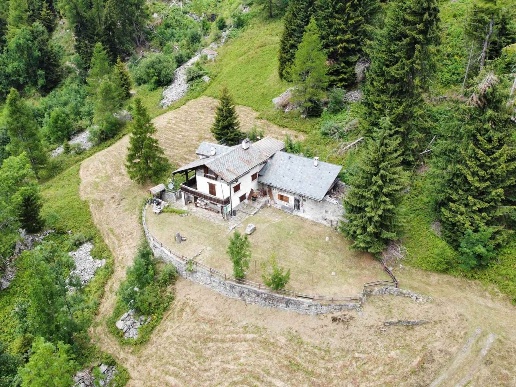 immagine annuncio 1 di 8