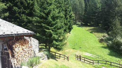 immagine annuncio 2 di 8