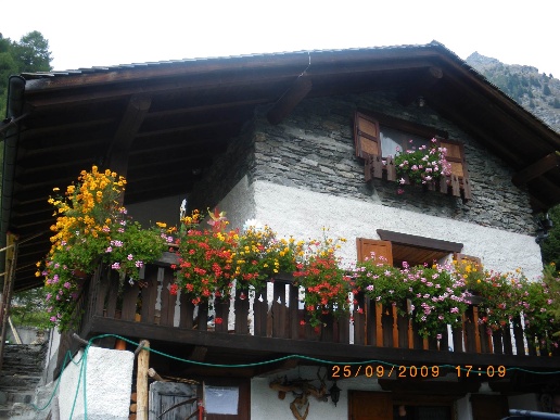 immagine annuncio 4 di 8