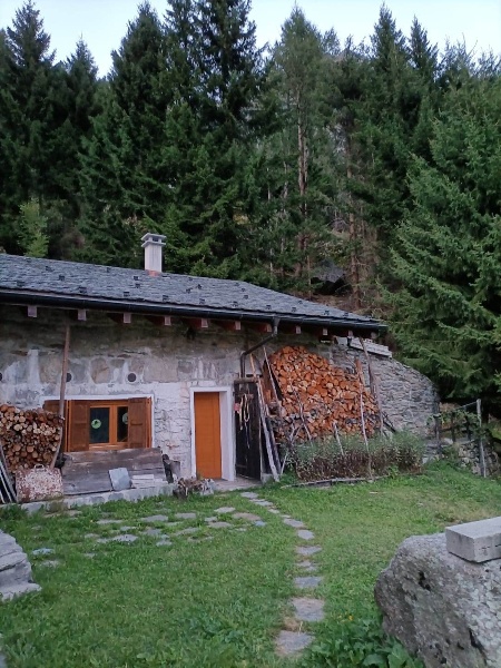 immagine annuncio 5 di 8