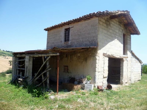 immagine annuncio 2 di 11