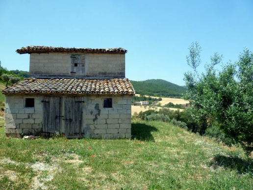 immagine annuncio 5 di 11