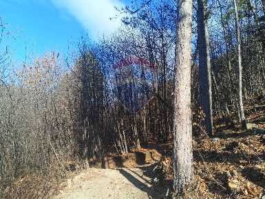 Foto Terreno agricolo a Bormida Piano Soprano di 45650 m² in vendita