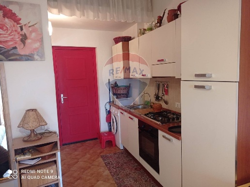 immagine annuncio 9 di 14