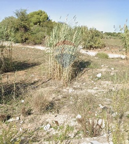 Foto Terreno residenziale in via strada circonvallazione, Vittoria Centro