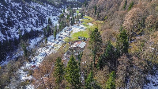 immagine annuncio 1 di 6