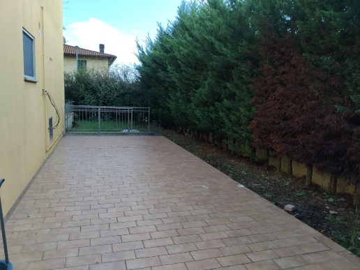 immagine annuncio 7 di 14