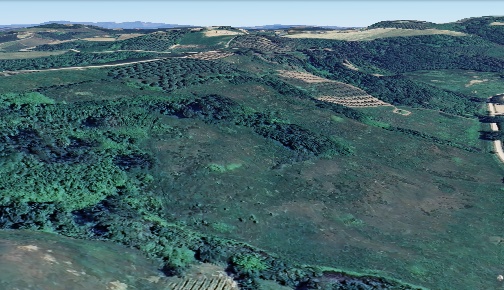 Foto Terreno agricolo a San Miniato Cusignano, Canneto in vendita