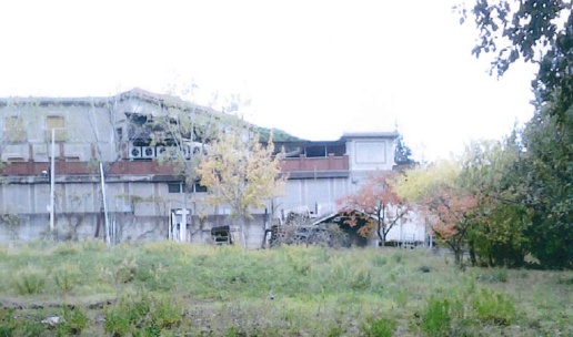 immagine annuncio 4 di 7