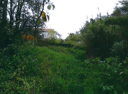 immagine annuncio 5 di 7