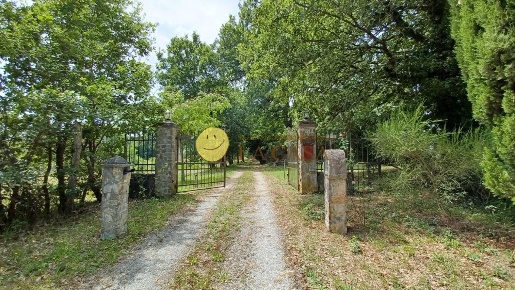 Foto Casale a Figline e Incisa Valdarno Gaville di 500 m² con 10 locali