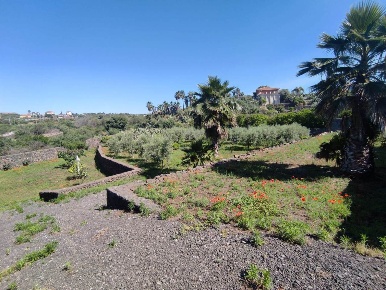 Foto Terreno agricolo a Misterbianco di 2594 m² in vendita