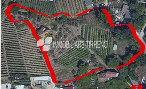 Foto Terreno residenziale a Massa Romagnano di 5300 m² in vendita