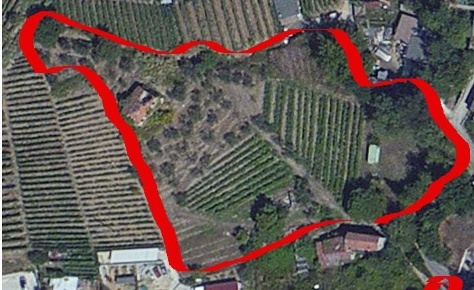 Foto Terreno residenziale a Massa Romagnano di 5300 m² in vendita